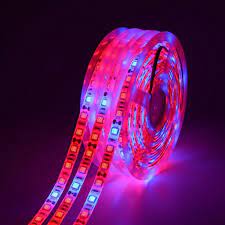 We did not find results for: 5 M Led Phyto Lampen Vollspektrum Led Kaufland De
