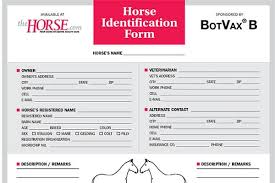 Horse Identification Form The Horse