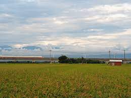 鹿草余慈爺公 3 natural landmarks landmarks formosa