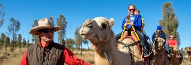 The camel farm staff pick you up and drop you off at your accommodation and there are shorter corral rides as well as sunrise and sunset tours available too. Camel Riding In Uluru