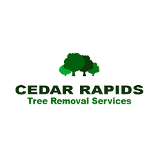 Southeast corner of eagle ridge & u s 57. Top Rated Tree Service Cedar Rapids Tree Removal Services