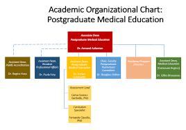 Organizational Chart Postgraduate Medical Education