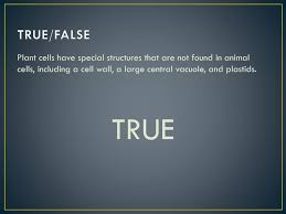 We did not find results for: Cellular Design Ppt Download
