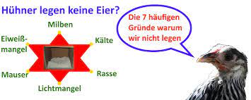 Videos zu machen kostet leider viel zeit und auch geld für software und hardware. Huhner Legen Keine Eier Finde So Den Grund Heraus Top 7 Ursachen