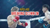 颯希 (Breaking Down)