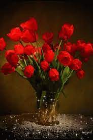 Flowerpot Bouquet Gif Flowerpot Bouquet Red Discover Share Gifs Flowers Gif Flower Pots Welcome Flowers
