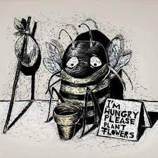Pin Auf Protect Our Planet