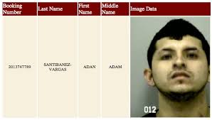 Buford Docket Book: Obstruction, False Imprisonment, Impeding the Flow of  Traffic and Other Charges