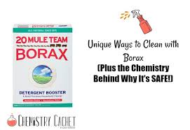 Borax treatment is not long lasting. Unique Ways To Clean With Borax Plus The Chemistry Behind Why It S Safe