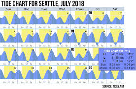 77 Factual San Juan Islands Tide Chart