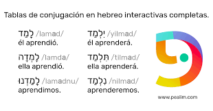 Diccionario Tablas De Conjugacion En Hebreo