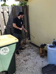 Maybe you would like to learn more about one of these? Searching For The Best Pest Control Near You In Deerfield Beach You Ve Found It Bad Dog