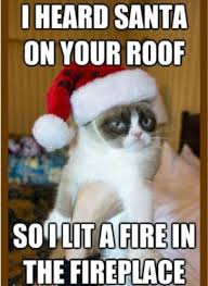 200 Funny Merry Christmas Memes Images Jokes And Gif S Funny Merry Christmas Memes Grumpy Cat Humor Funny Christmas Pictures