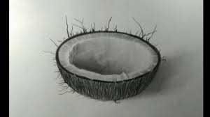 Palm tree sketch palm tree drawing tree sketches pine tattoo vinyl decor palm tree leaves palm trees coconut tree drawing tree drawings pencil. Coconut Drawing Coconut Texture How To Draw Coconut Step By Step Youtube