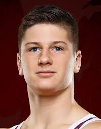 WIAA sectional wrestling: Holmen qualifies for Division 1 team state;  Vetsch wins sectional title