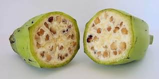 Pasalnya, buang air besar berdarah menandakan adanya masalah pada kesehatan khususnya di saluran pencernaan. 3 Resep Herbal Buang Air Besar Berdarah Yang Gampang Dibuat Deherba Com