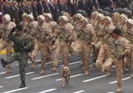 We did not find results for: Perro Callejero En Desfile Militar En Peru 2012 Viajes Y Turismo Al Dia