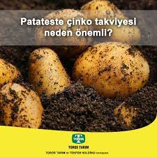 Kkiste ist ein film für dich. Lookaside Fbsbx Com Lookaside Crawler Media Me