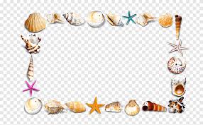Check spelling or type a new query. Flowers And Sea Shell Illustration Cephalonia Beach Fresh Beach Paper Border Texture Png Pngegg