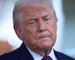 Donald Trump walks back comments about UK soldiers in Afghanistan