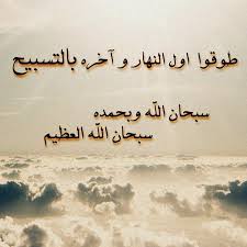 pin on إنستغرام شاغول