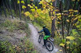 Created by lr productions 9 years ago. When Biking And Bears Don T Mix The New York Times