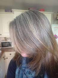 16 Months Transition To Gray Hair Roots Hair Grey Hair Young