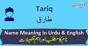 Tariq Name Meaning In Urdu طارق Tariq Muslim Boy Name