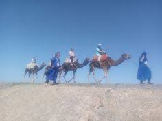 Camel trekking experience is very happy to shear with you the best sensations and the happy moments of your life time tour in morocco the beautiful country; Camel Ride Marrakech Camelridemarrakech Profile Pinterest