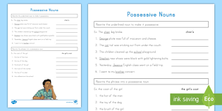 A revision worksheet to revise to be, have got, there is/there are, possessive adjectives and possessive pronouns, plurals, prepositions. Possessive Nouns Activity Teacher Made