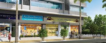 The Business Hub Commercial Project In Kothrud Pune