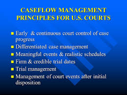 Each court sets its own time standards and case management procedures. Caseflow Management And Delay Reduction In Courts Ppt Download