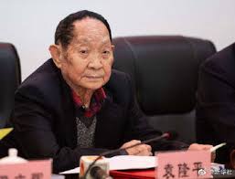 Born september 7, 1930) is a chinese agricultural scientist and educator, known for developing the first hybrid rice varieties in the 1970s. Qgkpq1qts Qp1m