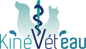 Pour répondre à ces besoins, en france, il n'existe qu'un unique établissement d'élevage (ricarimpex), qui poursuit l'hirudiniculture (en gironde)6. Accueil Kinevet Eau Kinevet Eau