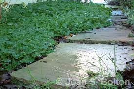 A would do d am в will do e were с would have done f will be 14. What To Do When The Soil S Too Wet In The Garden