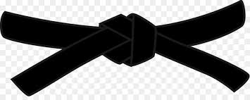 Cinturón Negro, Karate, Kyoshi imagen png - imagen transparente descarga  gratuita