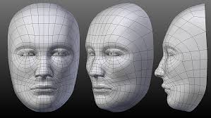 Facial Topology