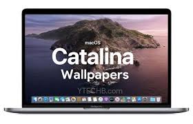 Download Macos Catalina Wallpaper Stock Wallpaper Wallpaper Best Iphone Wallpapers
