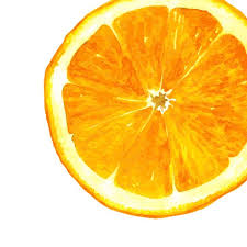 Orange Slice Printable Square Wall Art Print Mediterranean Art Fruit Printable Kitchen Wall Square Wall Art Mediterranean Art Beautiful Images Nature