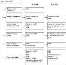 You may also experience difficult or painful urination. Choosing The Right Animal Model For Renal Cancer Research Sciencedirect