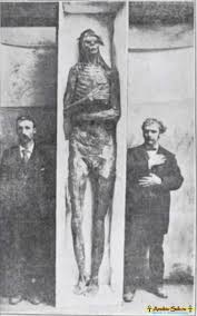 Check spelling or type a new query. Rangka Besar Orang Cecair Foto Skeletons Di Wisconsin Nombor Menyebabkan Keraguan