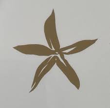 Image result for Feretia