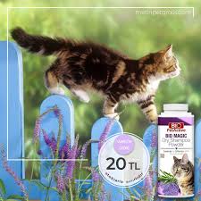 Bio Magic Dry Shampoo Kedi 150gr Lavanta Biberiye Web E Ozel 20 Tl Bu Firsati Kacirmayin Stoklarla Sinirlidir Https Www Metinpetgross Kedi Sampuan Galeri