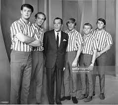 Pin On The Beach Boys