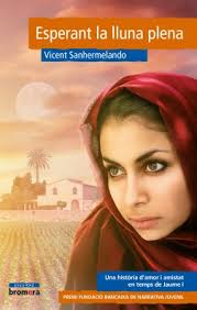 Novel·les històriques en clau valenciana