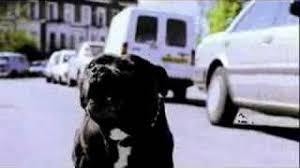 Скачай backyard dog baddest ruffest и backyard dog baddest ruffest radio edit. Baddest Ruffest Backyard Dog Youtube