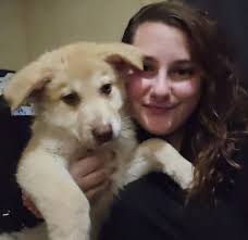 What do people do for work when moving to Chiang Mai if they don't have a  remote job?