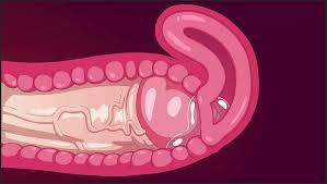 🔞Futa Creampie (Artist: Hard-Degenerate) | Cum Futanari | MyFutanari.com