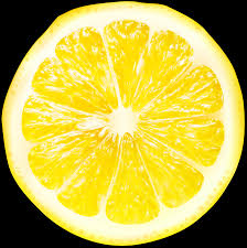 lemon slices transparent png clip art gallery yopriceville high quality images and transparent png free clipart gallery yopriceville