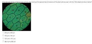 What is the area of the field of view of the microscope at this magnification? If The Diameter Of The 4x Field Of View Is 5 Mm Then Chegg Com